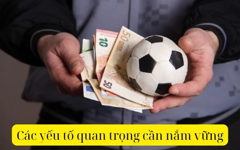 Các yếu tố quan trọng cần nắm vững