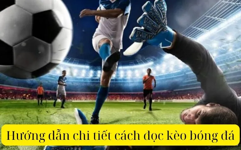 Hướng dẫn chi tiết cách đọc kèo bóng đá