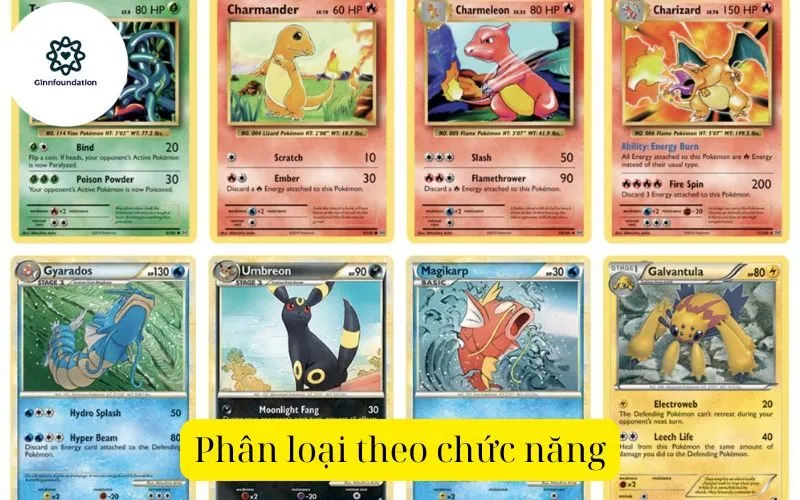 Phân loại theo chức năng