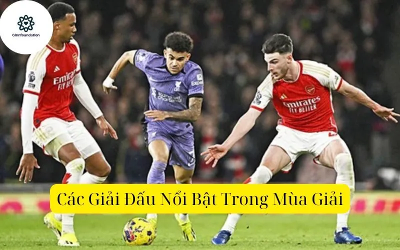 Các Giải Đấu Nổi Bật Trong Mùa Giải