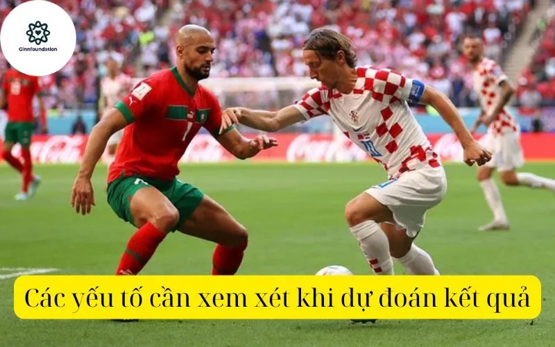 Các yếu tố cần xem xét khi dự đoán kết quả