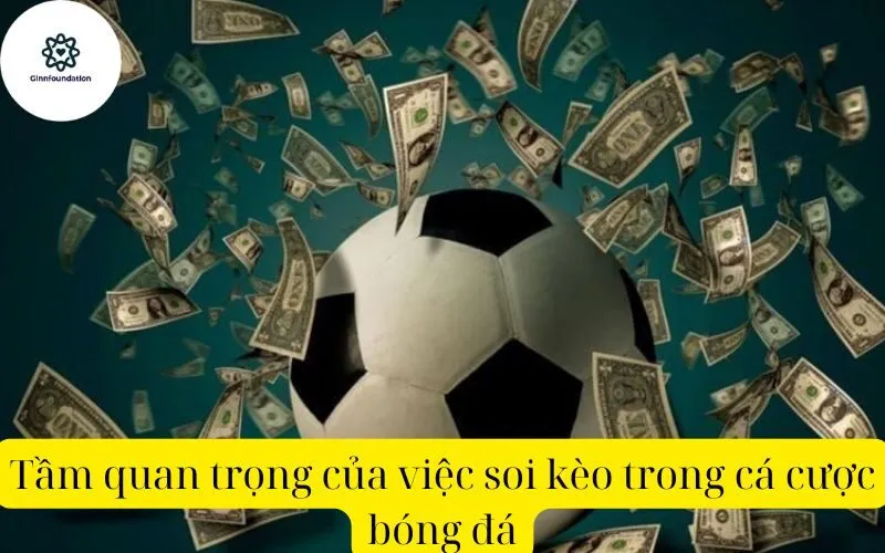 Tầm quan trọng của việc soi kèo trong cá cược bóng đá