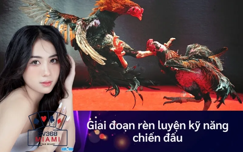 Giai đoạn rèn luyện kỹ năng chiến đấu