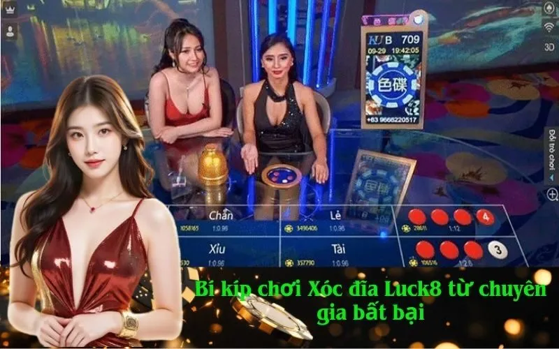 Bí kíp chơi Xóc đĩa Luck8 từ chuyên gia bất bại