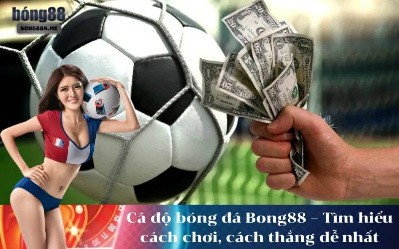 Cá độ bóng đá Bong88 – Tìm hiểu cách chơi, cách thắng dễ nhất