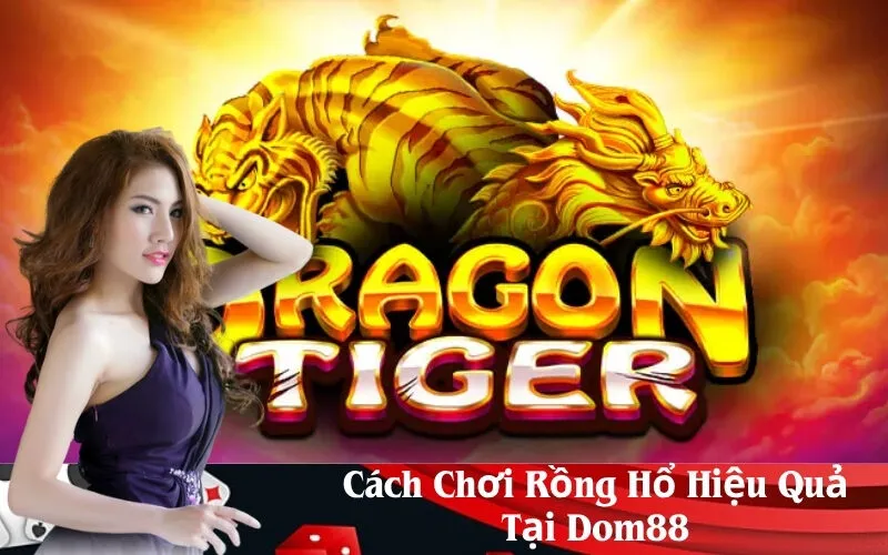 Cách Chơi Rồng Hổ Hiệu Quả Tại Dom88