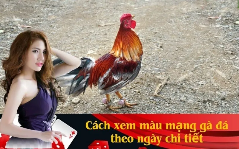 Cách xem màu mạng gà đá theo ngày chi tiết
