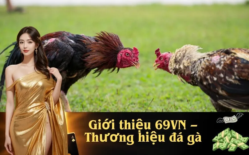 Giới thiệu 69VN – Thương hiệu đá gà