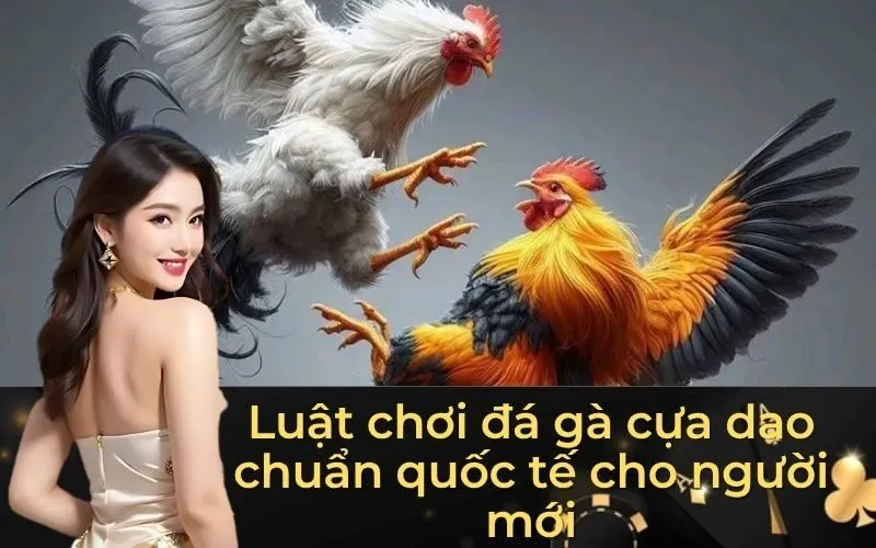 Đá Gà Cựa Dao Gay Cấn, Trực Tuyến Không Gián Đoạn