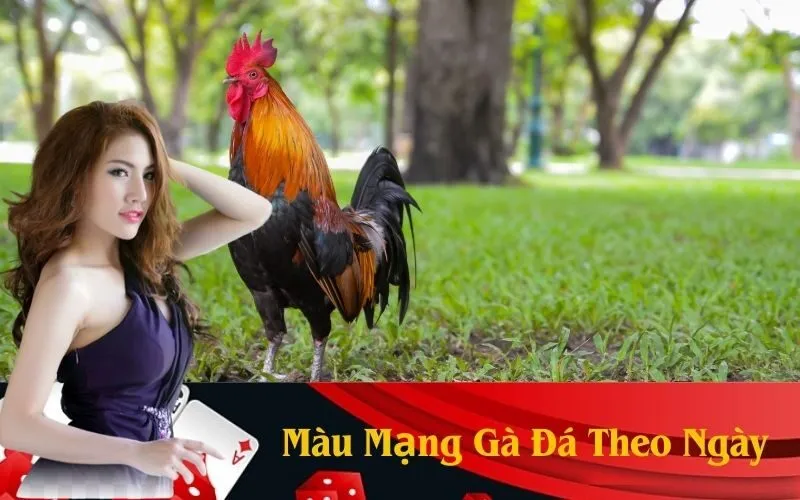 Màu Mạng Gà Đá Theo Ngày