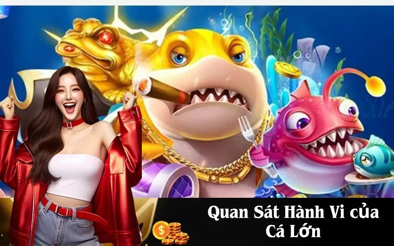 Quan Sát Hành Vi của Cá Lớn