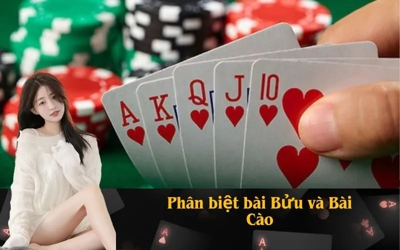 Phân biệt bài Bửu và Bài Cào